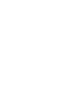 ルノージャポン